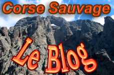 Bannière du Blog Corse sauvage
