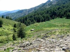 Plateau d'Astenica et ses bergeries