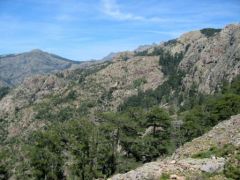 Le versant ravin de Calanconi entre le col 1160 m et la forêt de Casa Infurcata